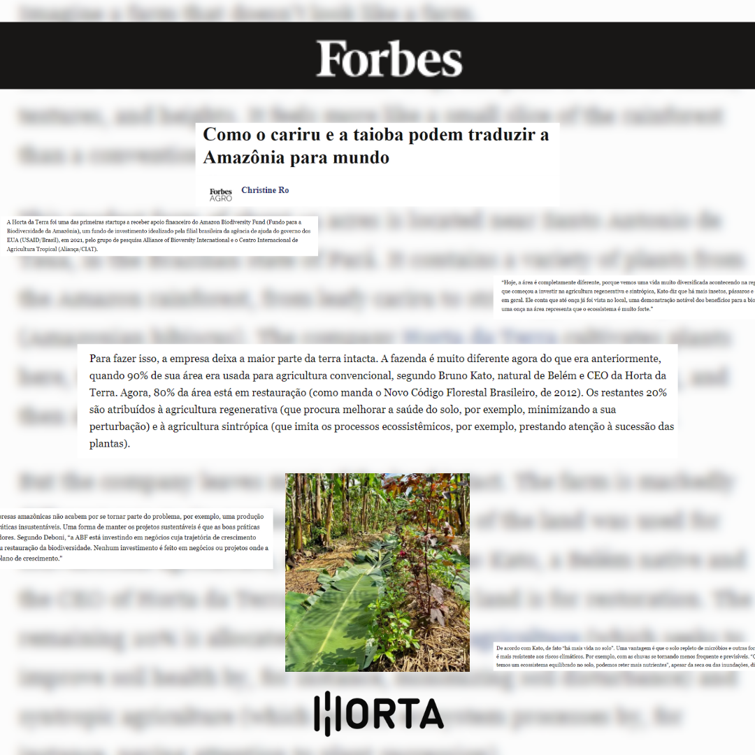 Leia mais sobre o artigo Forbes: Desbloqueando os Benefícios das Plantas Amazônicas para o Restante do Mundo