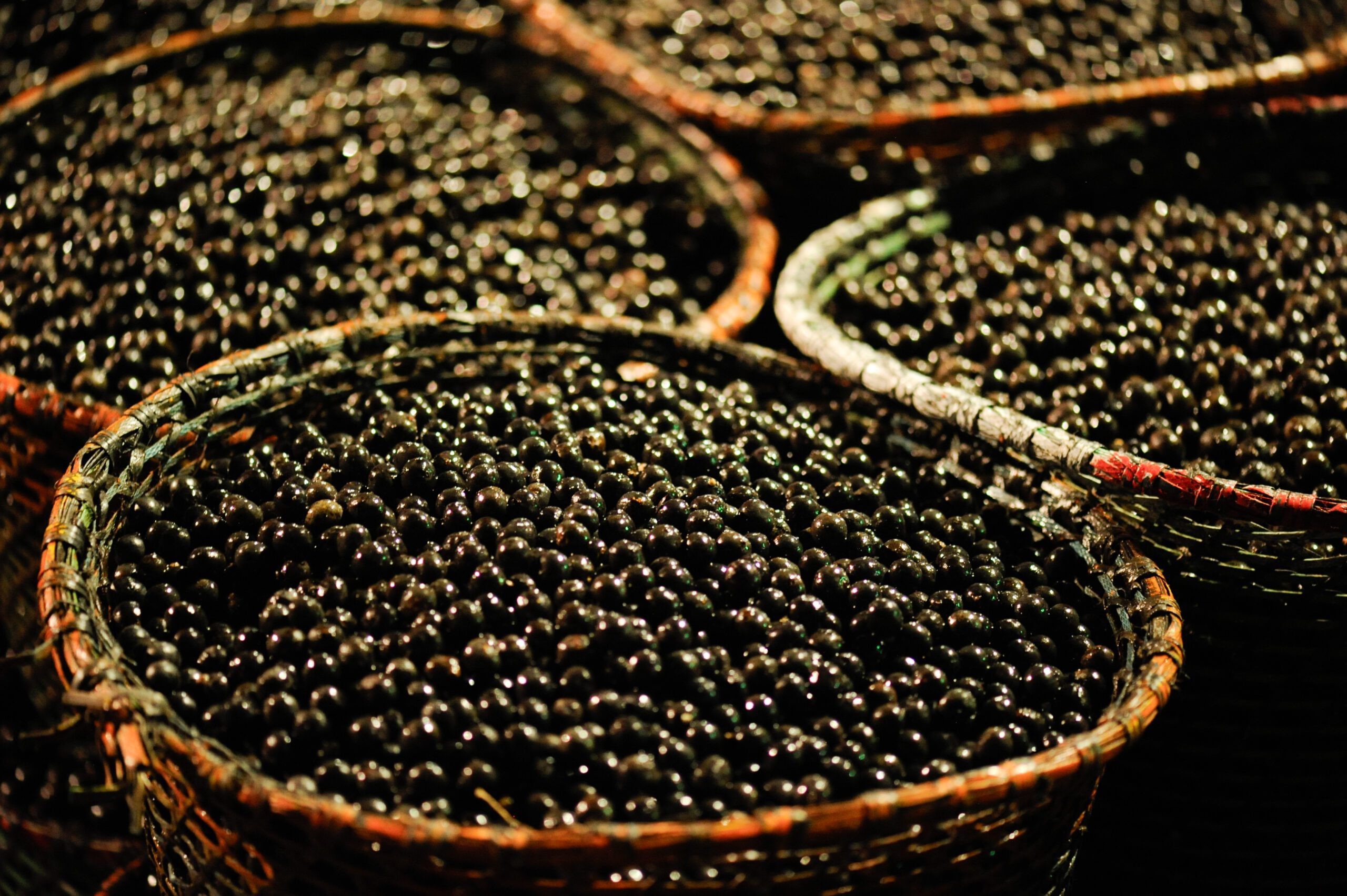 Read more about the article Açaí: Much More Than a Superfood