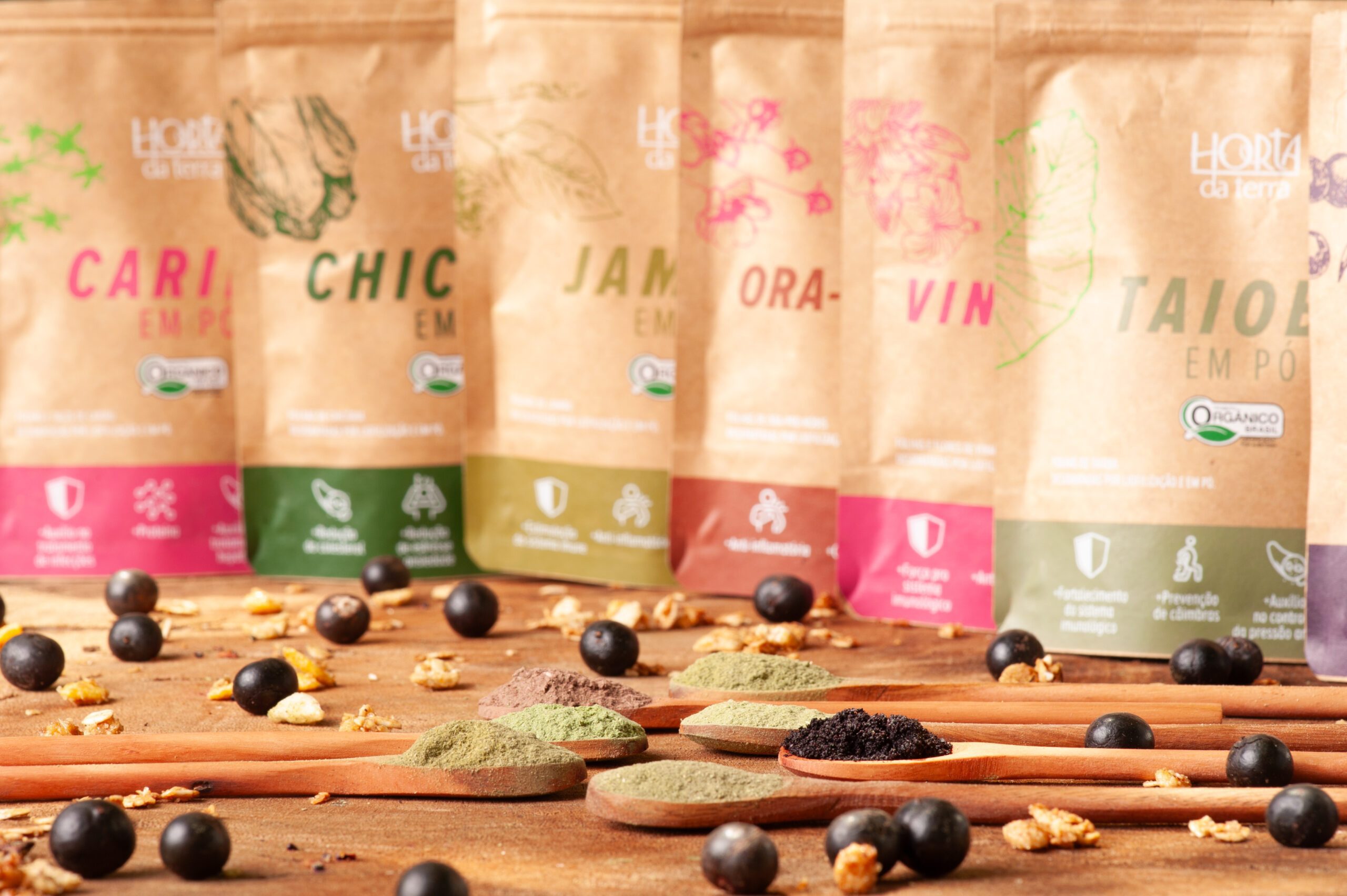 Read more about the article Super Foods Blends!