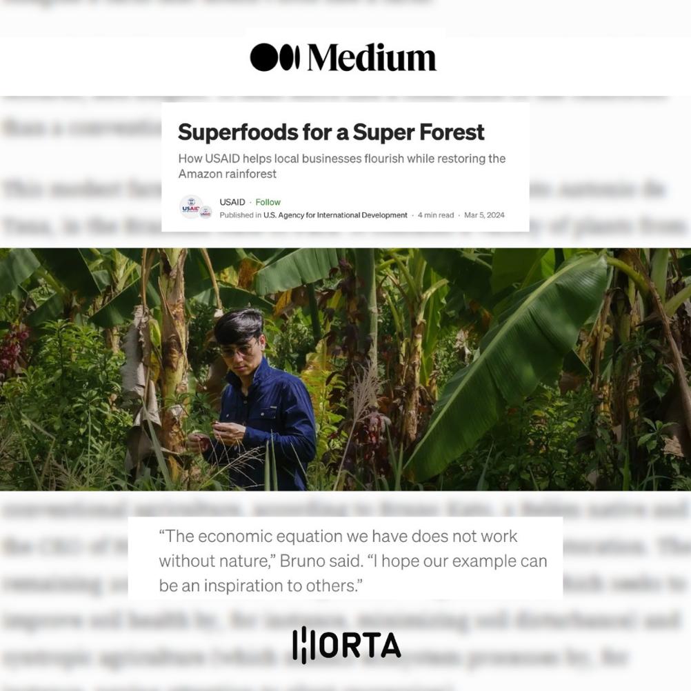 Superfoods para uma Super Floresta